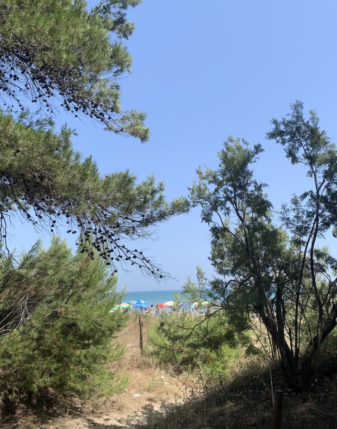 Alloggio Vista Mare - Parcheggio Gratis Pineto Exterior photo